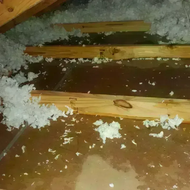 Attic Water Damage in Mount Vernon, AL